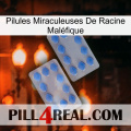 Pilules Miraculeuses De Racine Maléfique 20